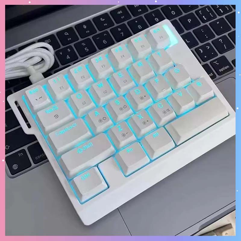 Gaming Keyboard Esports - HE30 Mechanische Gaming-Tastatur 29 Tasten Magnetischer